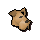 Terrier puppy