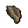 Conch shell