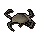 Scrubbed rock crab carcass