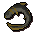 Raw short-finned eel