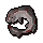 Cave moray