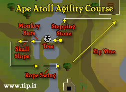 Ape Atoll Curso de Agilidade