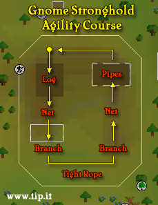 Gnome Agility Course