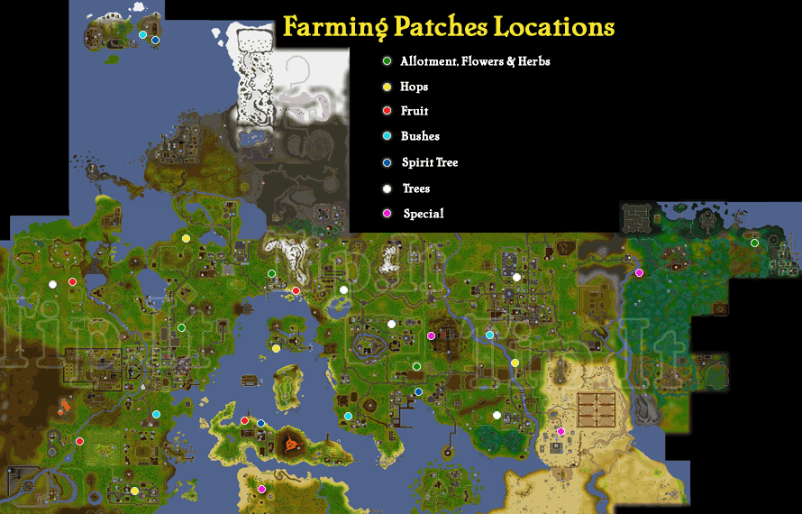 Rs3 all fruit tree patches
