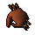 Adulto caranguejo gigante