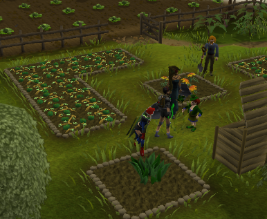 Farming Guide - :: Tip.It Help :: The RuneScape Help