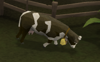 Vaca de leite