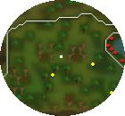 Tt Elite Treegnomestronghold Compass