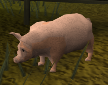 Piglet