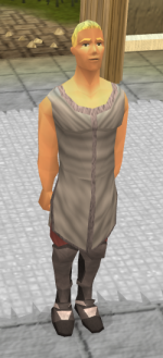 Squire Cerlyn