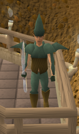 Elf warrior