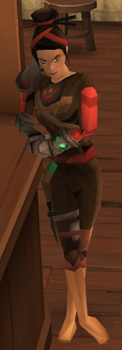 The Assassin