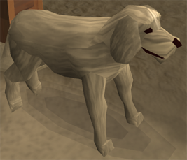 Sir Chen Rescoo -Manger- -Kennel-