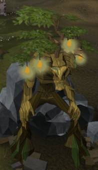 Quercus