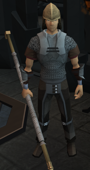 Fortress Guard -Death of Chivalry-