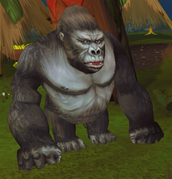 Gorilla