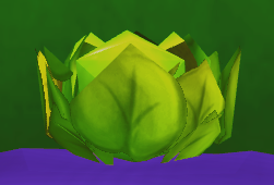 Brassica Prime