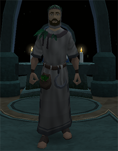 Guthixian High Druid