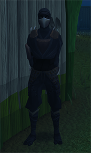 Ninja master