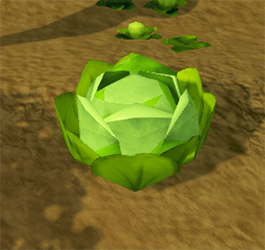 Crispy the Cabbage