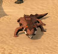 Croc