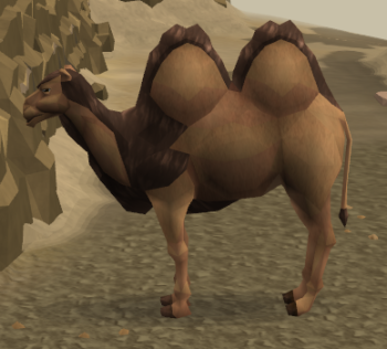 Al the Camel