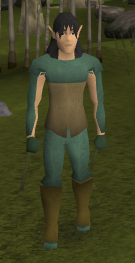 Elf Tracker
