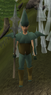 Elven city guard