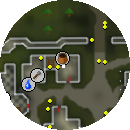 Falador General Store