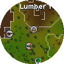 Sawmill Operator(Planks)