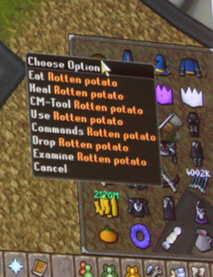Runefest-spawnpotato